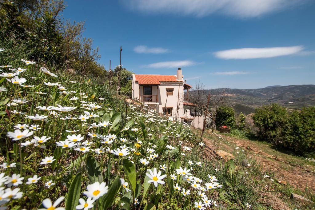Aori Hillside Villa Kántanos Exterior foto