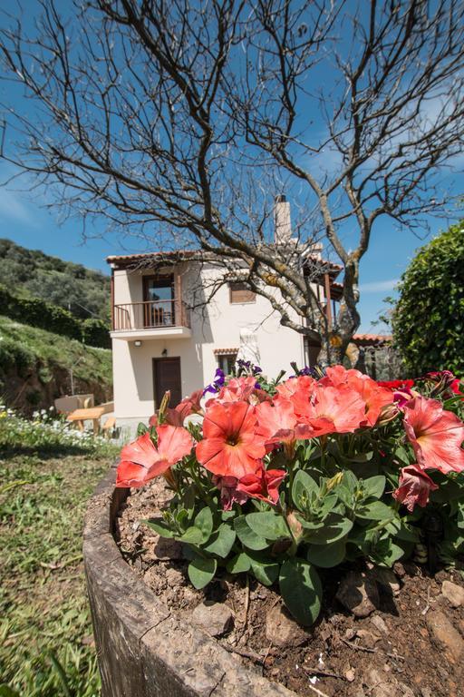 Aori Hillside Villa Kántanos Exterior foto